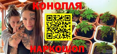 ALPHA PVP Пушкино