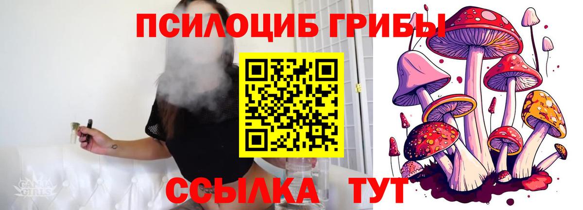 Полевской  что такое наркотик  Вход с VPN  Псилоцибиновые грибы мицелий 